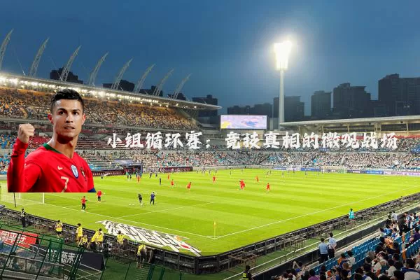 小组循环赛：竞技真相的微观战场